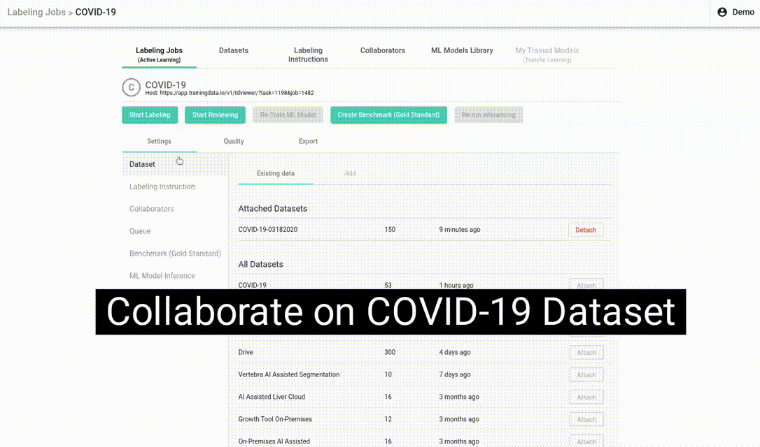 COVID-19 Dataset Annotation & Collaboration