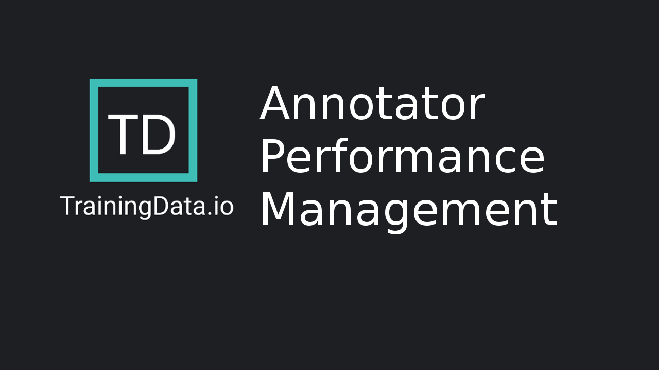 Productivity #18: Annotator Performance Management